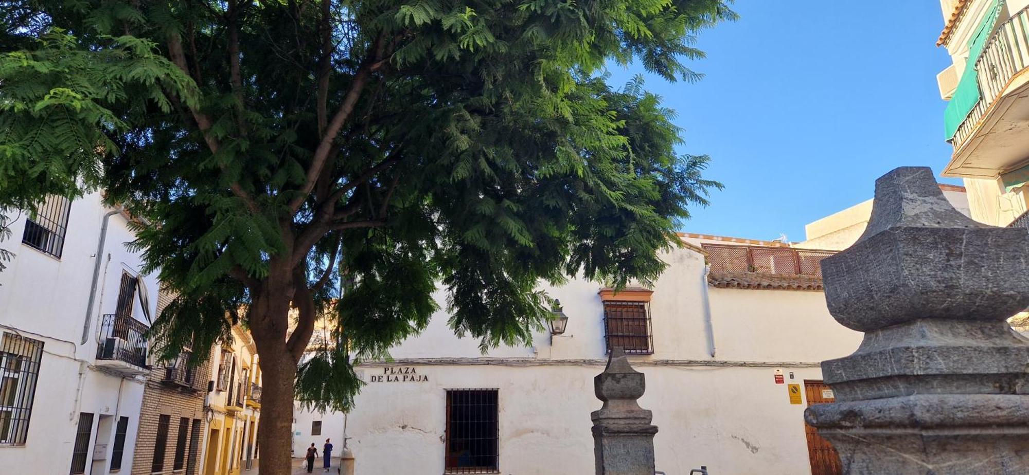דירות קורדובה Terraza De La Axerquia מראה חיצוני תמונה