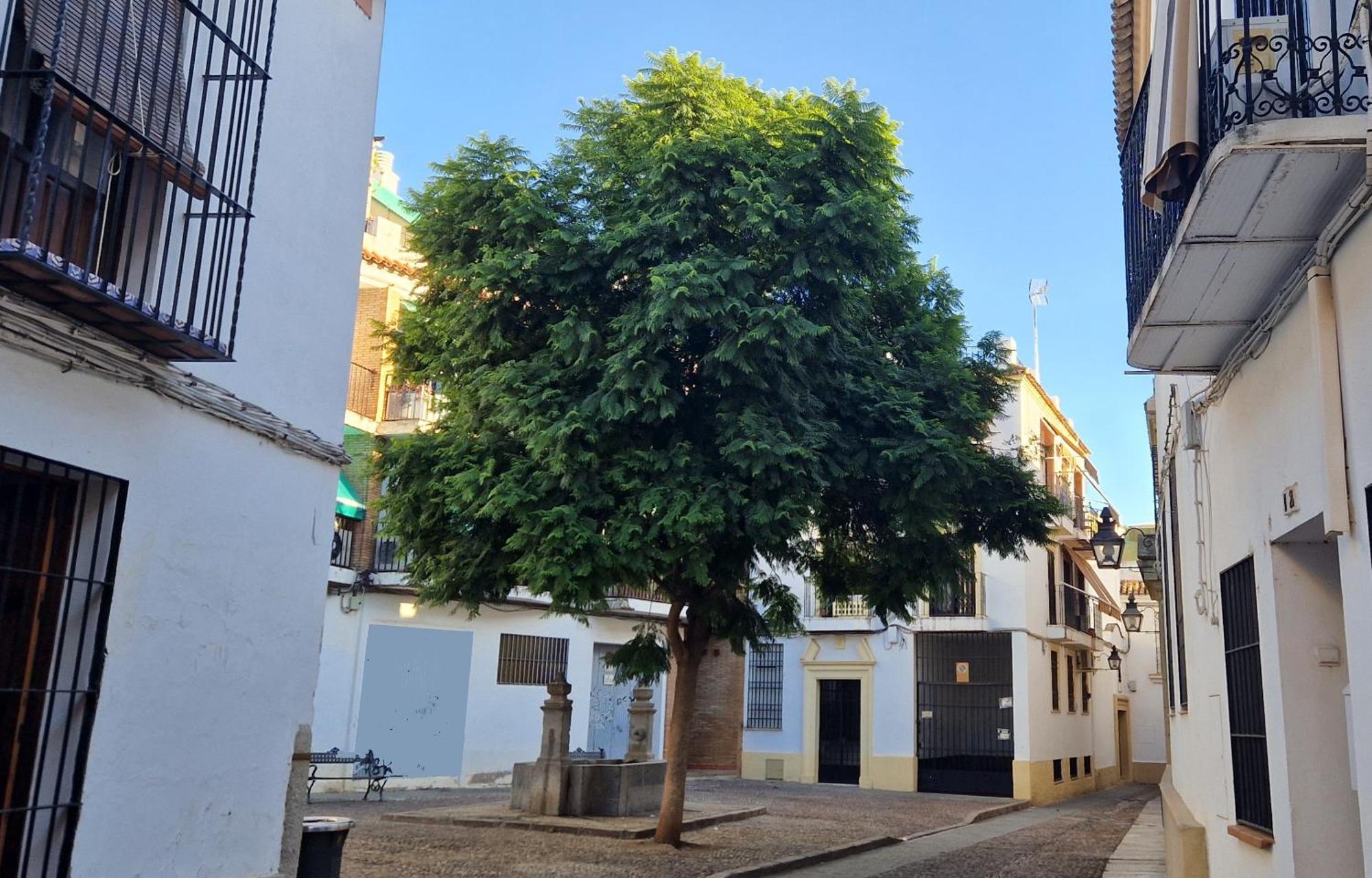 דירות קורדובה Terraza De La Axerquia מראה חיצוני תמונה